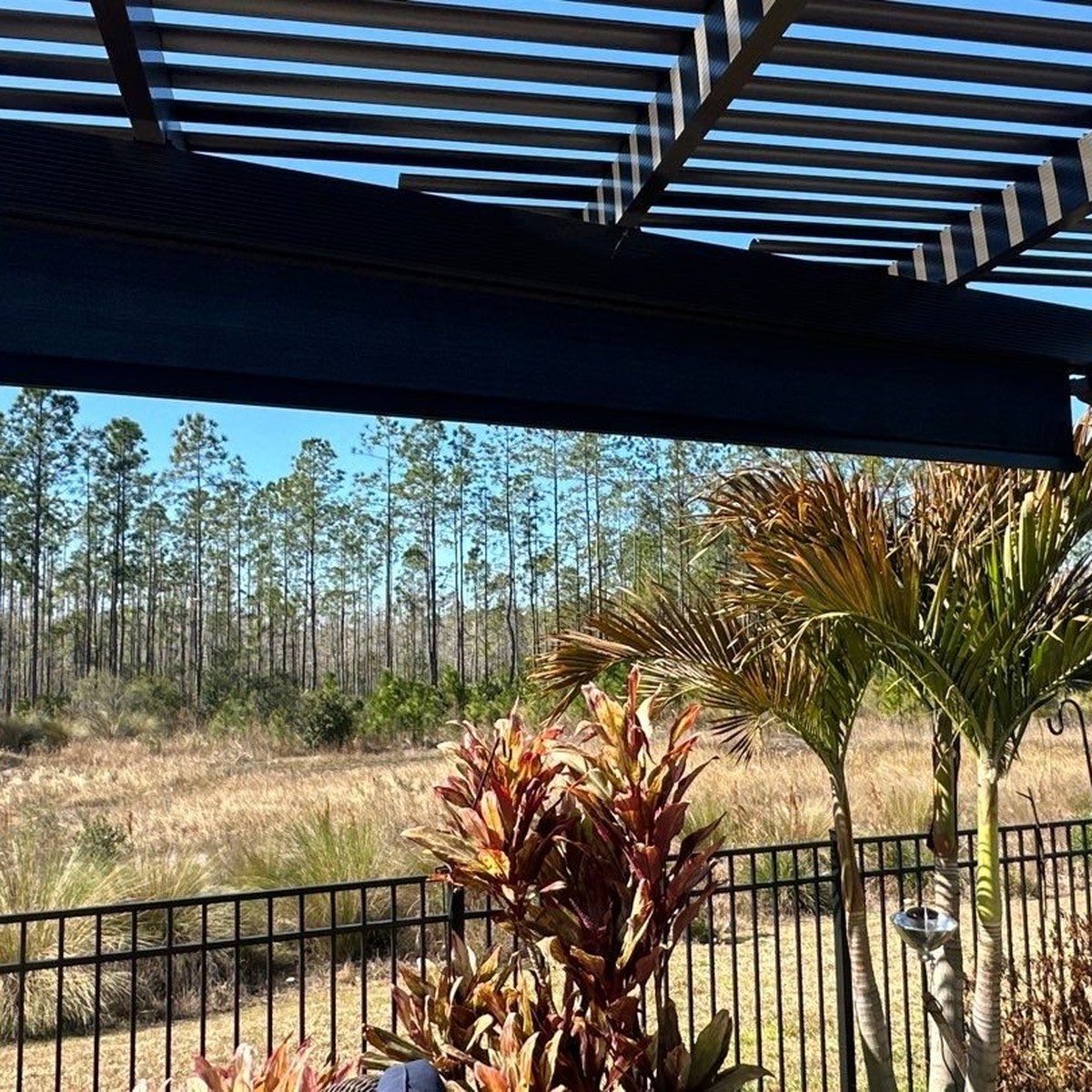 Pergola Shade